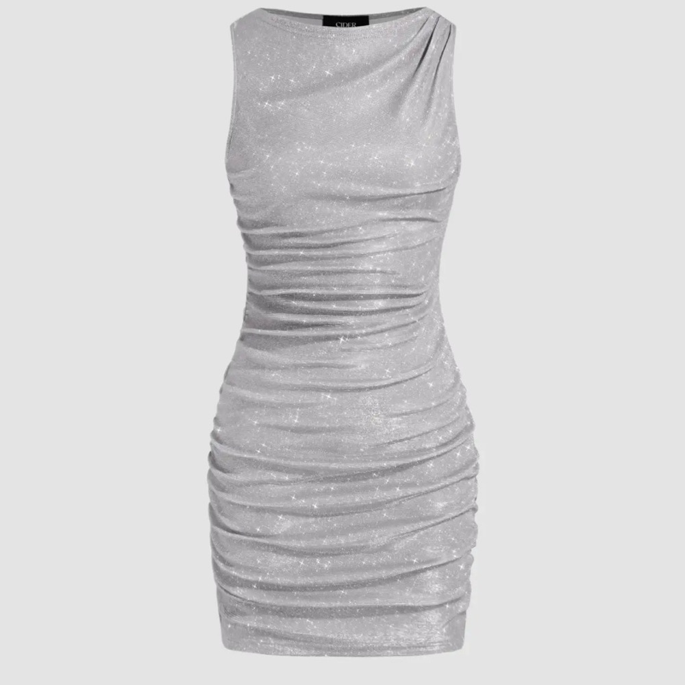 NWT Silver Dress
